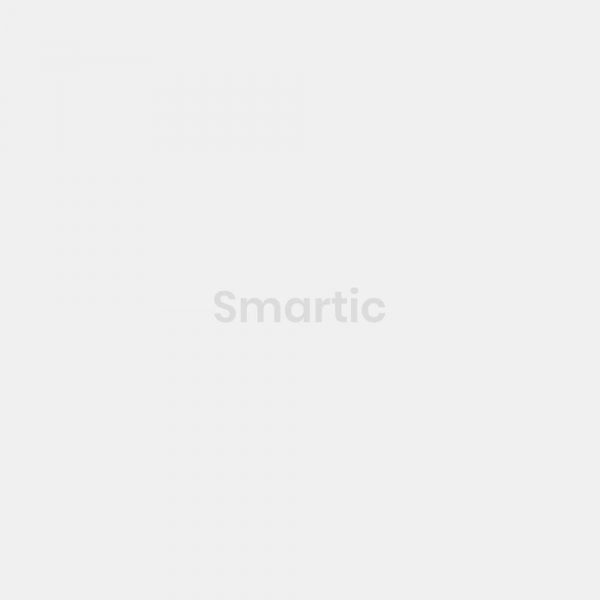 Smartic